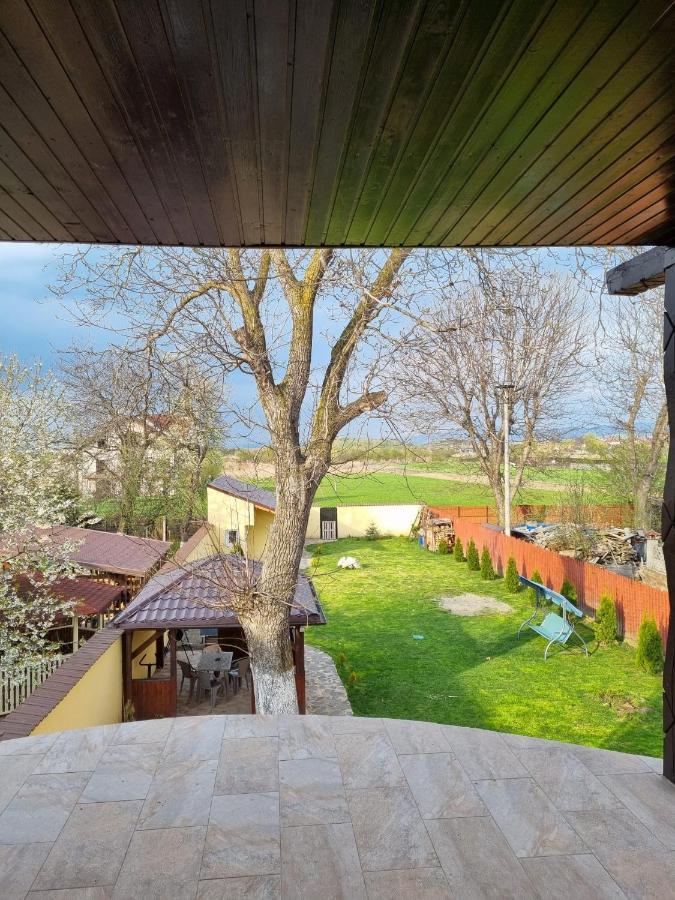 Izabella Guest House Săcele Buitenkant foto