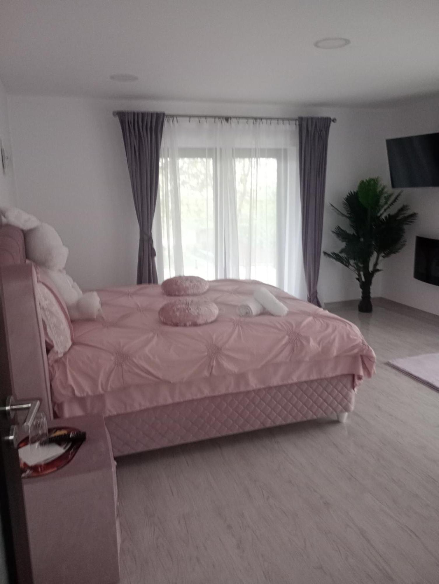 Izabella Guest House Săcele Buitenkant foto