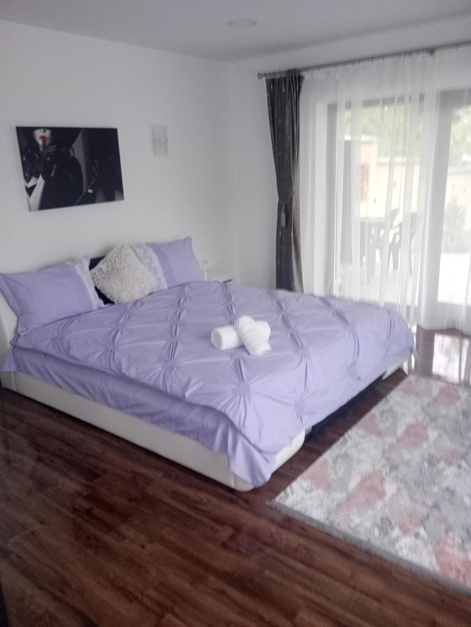 Izabella Guest House Săcele Buitenkant foto