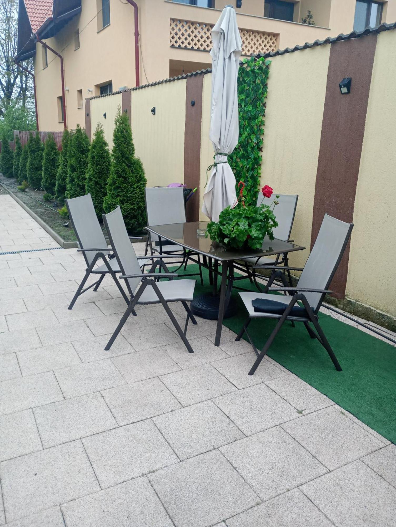 Izabella Guest House Săcele Buitenkant foto