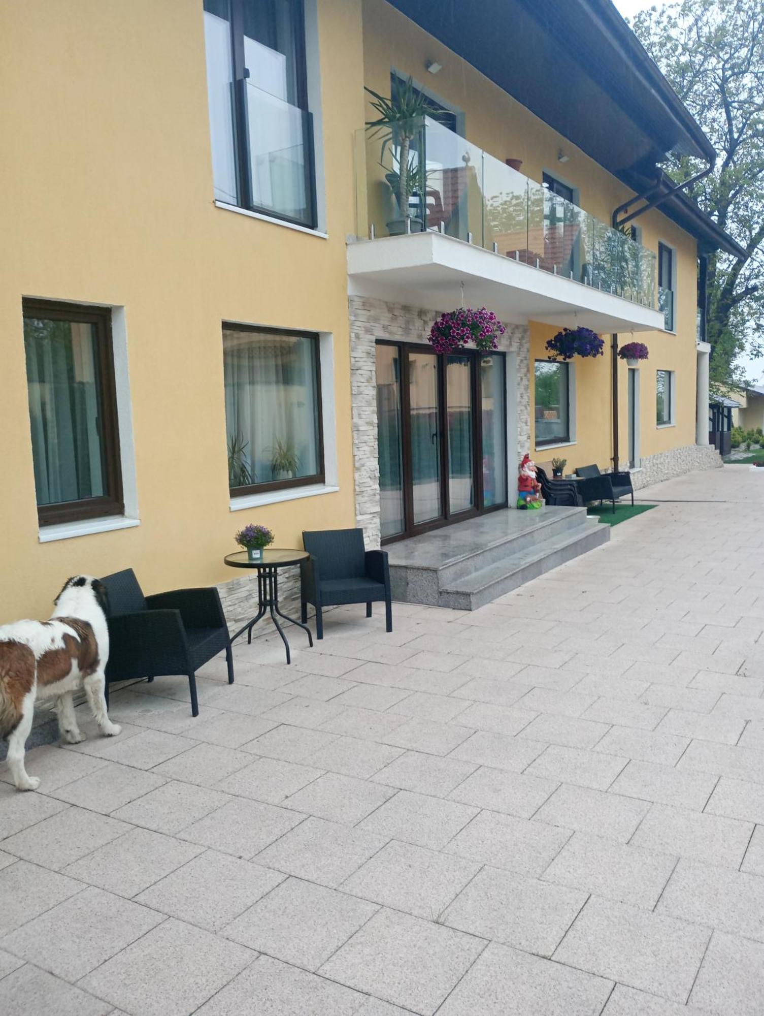 Izabella Guest House Săcele Buitenkant foto