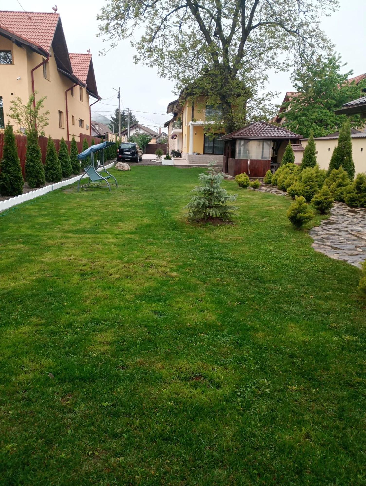 Izabella Guest House Săcele Buitenkant foto