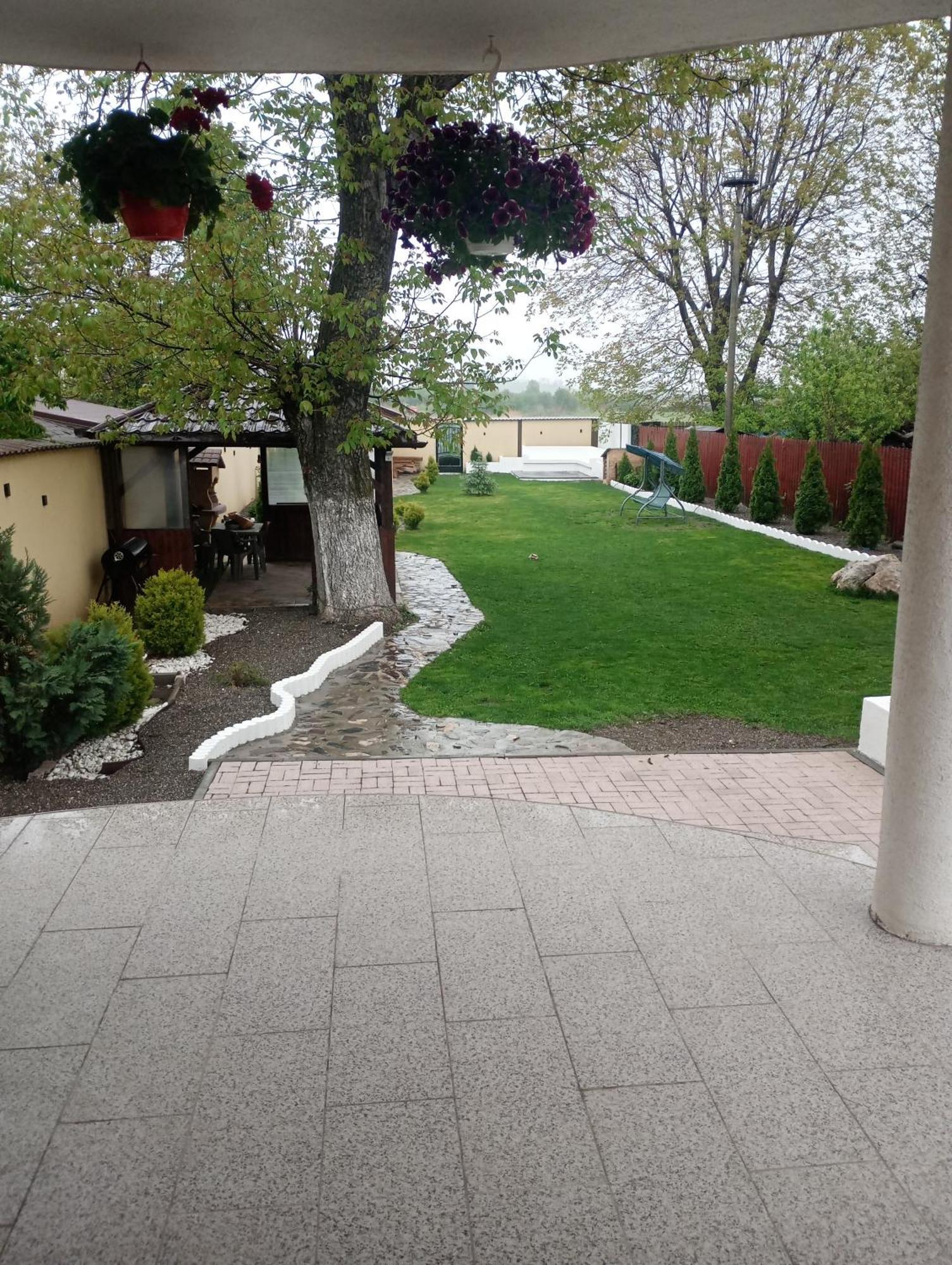 Izabella Guest House Săcele Buitenkant foto