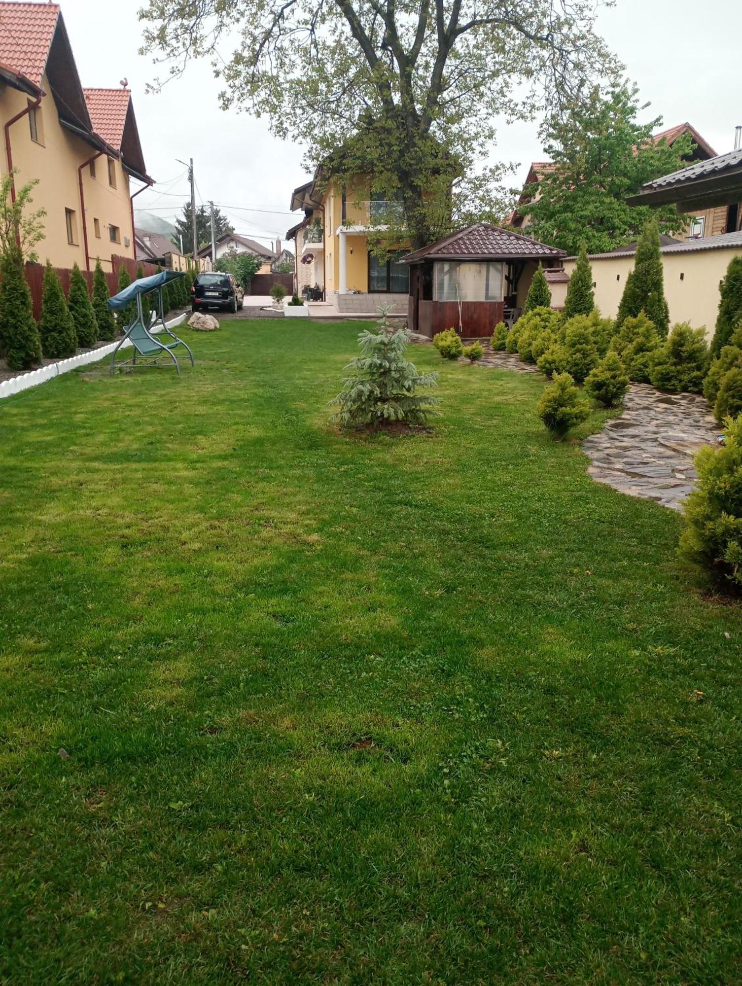 Izabella Guest House Săcele Buitenkant foto