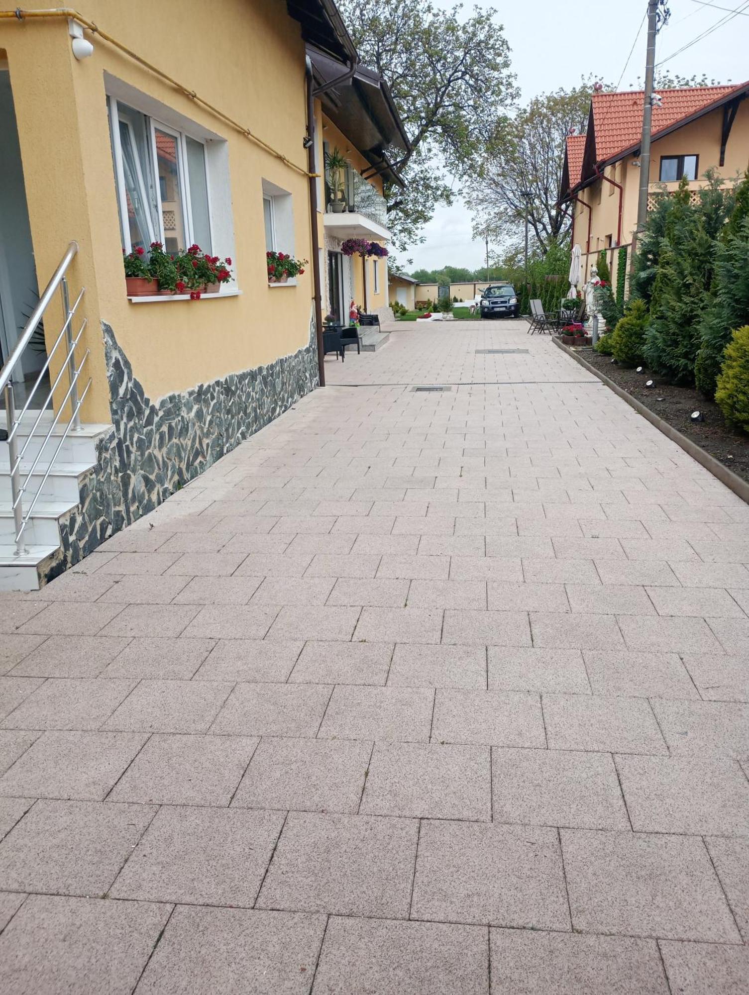 Izabella Guest House Săcele Buitenkant foto